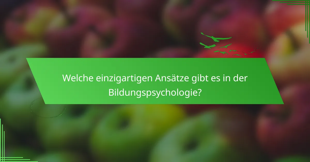 Welche einzigartigen Ansätze gibt es in der Bildungspsychologie?