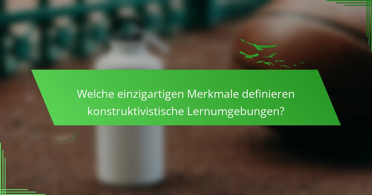 Welche einzigartigen Merkmale definieren konstruktivistische Lernumgebungen?